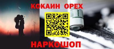 шишки Будённовск