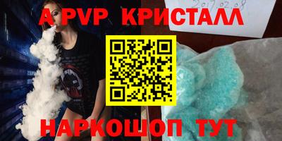 шишки Будённовск