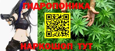шишки Будённовск